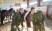 Photo taken by Cpl Roberts – Cpl Fong and Cpl Dunne learn how to bandage horses during the Equine First Aid portion of the course. No horses were hurt in the making of this photo!
