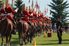 Strathcona Mounted Troop at Heritage Park in Calgary